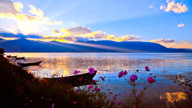 1500367329620576.jpg 5.jpg