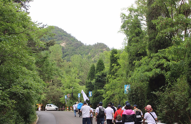 1562578064769330.jpg 16.jpg