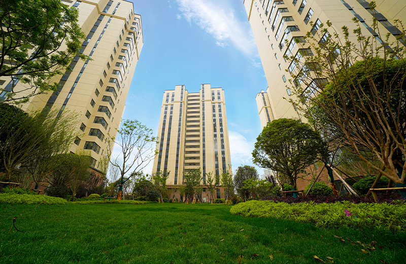 1656325695666443.jpg 1.jpg