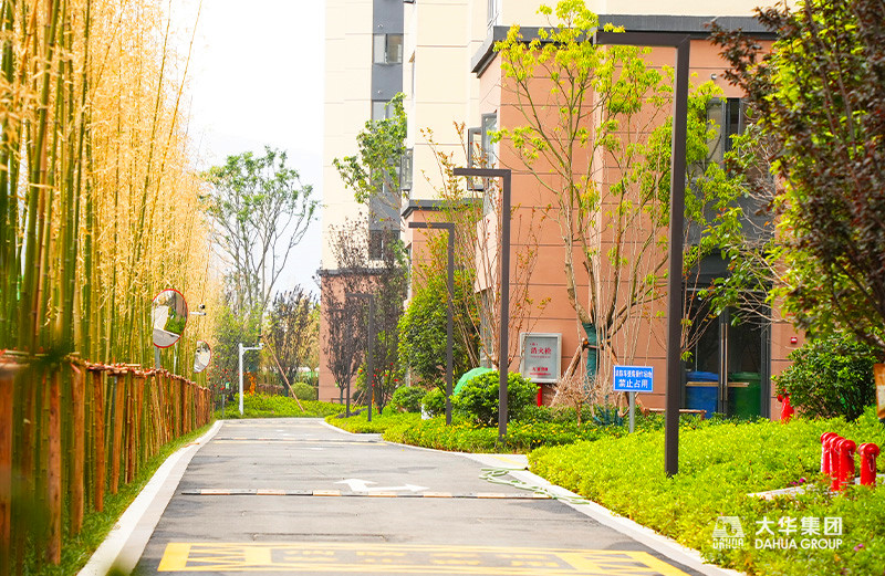 1656326246679126.jpg 4.jpg