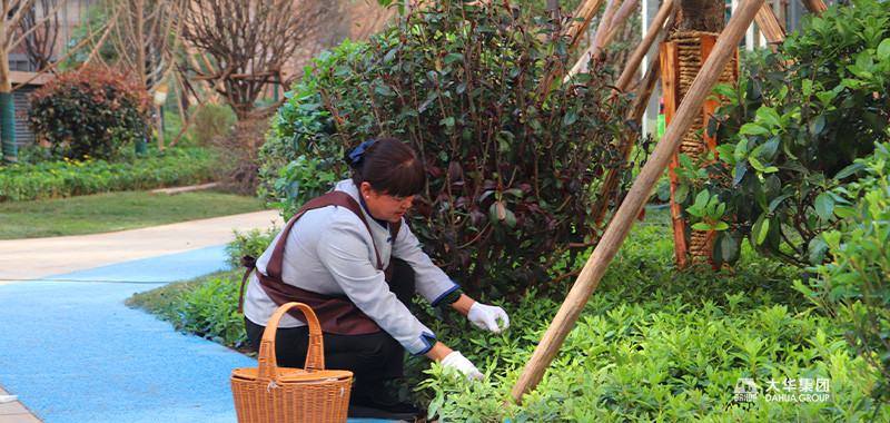 1656326612754877.jpg 11.jpg