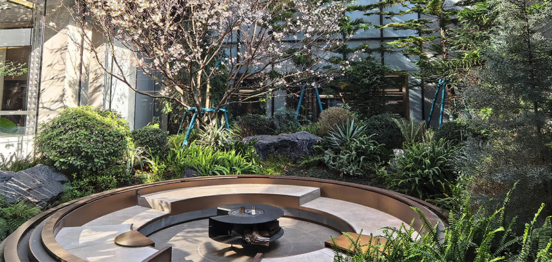 1656326624500256.jpg 0416-长图-10.jpg