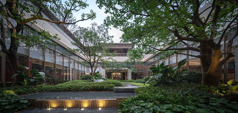 DSC_9506-Pano ����.jpg