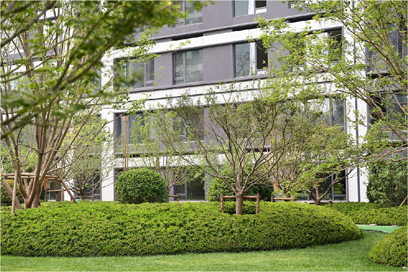 yp�ֻ���������Ϸ(�й�)���¹���