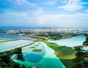 yp�ֻ���������Ϸ(�й�)���¹���